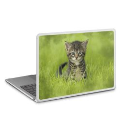 MacBook Case transparent matt