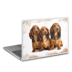 MacBook Case transparent matt