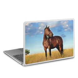 MacBook Case transparent matt