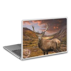 MacBook Case transparent matt