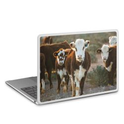 MacBook Case transparent matt