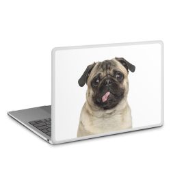 MacBook Case transparent matt