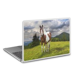 MacBook Case transparent matt