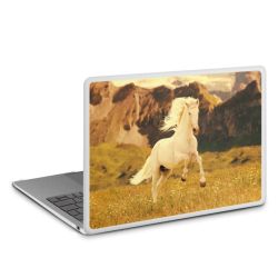 MacBook Case transparent matt