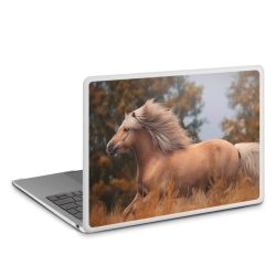 MacBook Case transparent matt