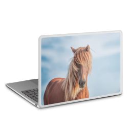 MacBook Case transparent matt