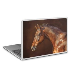 MacBook Case transparent matt