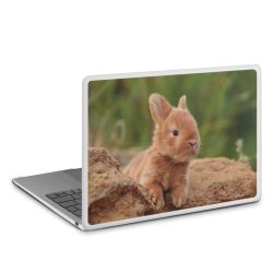 MacBook Case transparent matt