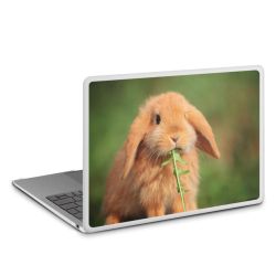 MacBook Case transparent matt