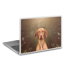 MacBook Case transparent matt