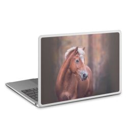 MacBook Case transparent matt