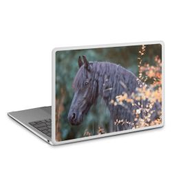 MacBook Case transparent matt