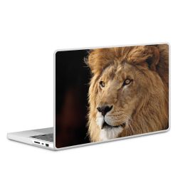 MacBook Case transparent matt