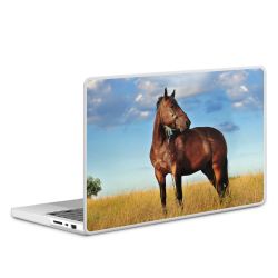 MacBook Case transparent matt