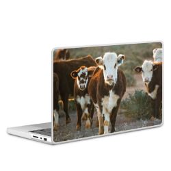 MacBook Case transparent matt