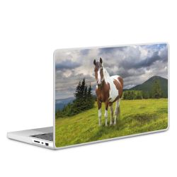 MacBook Case transparent matt