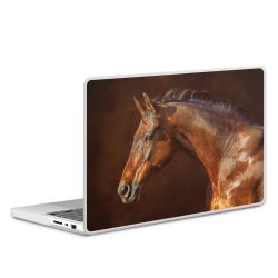 MacBook Case transparent matt