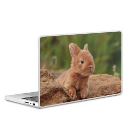 MacBook Case transparent matt