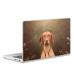 MacBook Case transparent matt