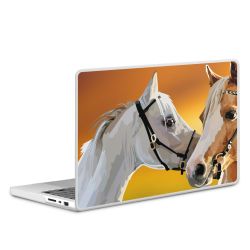 MacBook Case transparent matt