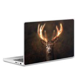 MacBook Case transparent matt