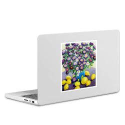 MacBook Case transparent matt