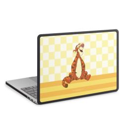 Suojakuori antrasiitti