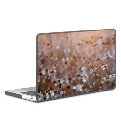 Suojakuori antrasiitti