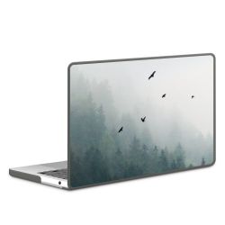 Suojakuori antrasiitti