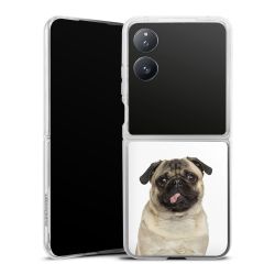 Hard Case transparent