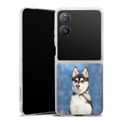 Skyddskal genomskinlig