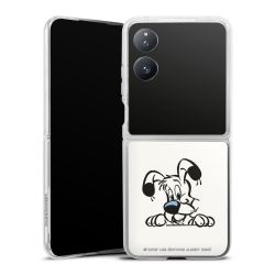 Hard Case transparent