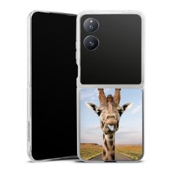 Hard Case transparent