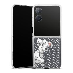 Skyddskal genomskinlig