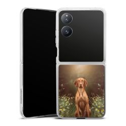 Skyddskal genomskinlig