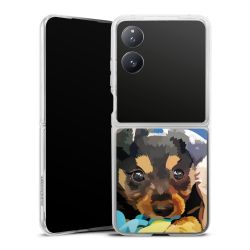 Hard Case transparent