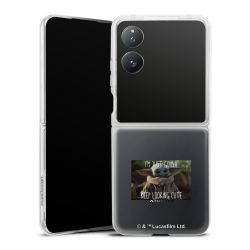 Skyddskal genomskinlig