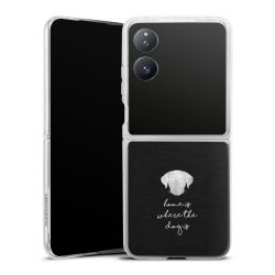 Skyddskal genomskinlig