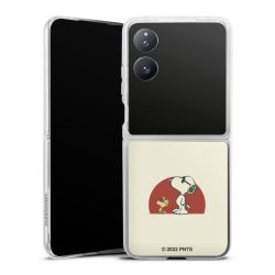 Hard Case transparent