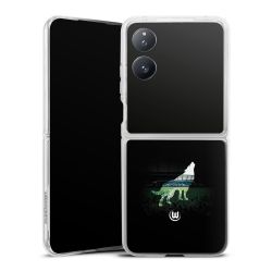 Hard Case transparent