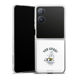 Skyddskal genomskinlig