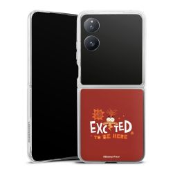 Skyddskal genomskinlig