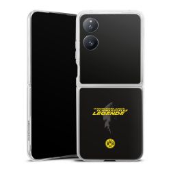 Skyddskal genomskinlig