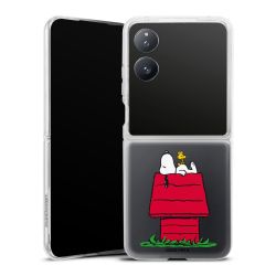 Hard Case transparent