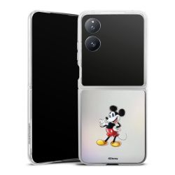 Hard Case transparent