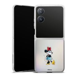 Skyddskal genomskinlig