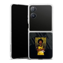 Skyddskal genomskinlig