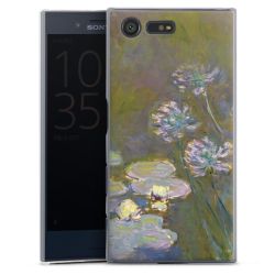 Skyddskal genomskinlig