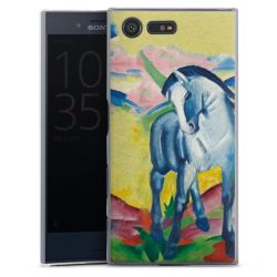 Skyddskal genomskinlig