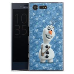 Skyddskal genomskinlig